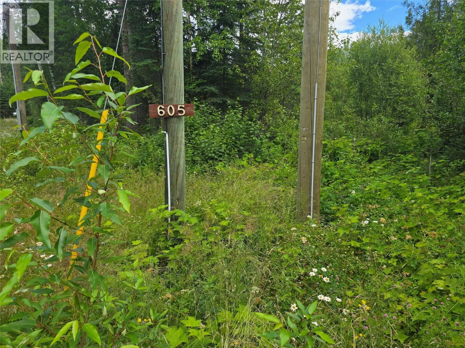 Vacant Land at 605 MOUL CREEK Road — photo 2 of 26