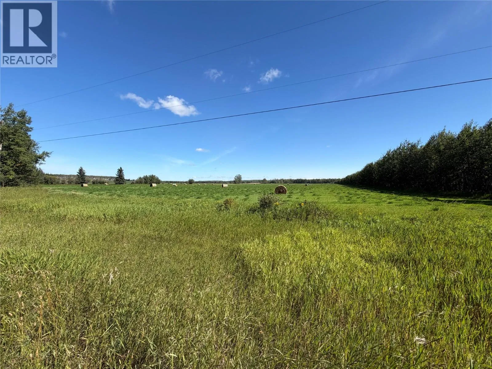 Farm at 265 Road — photo 4 of 11