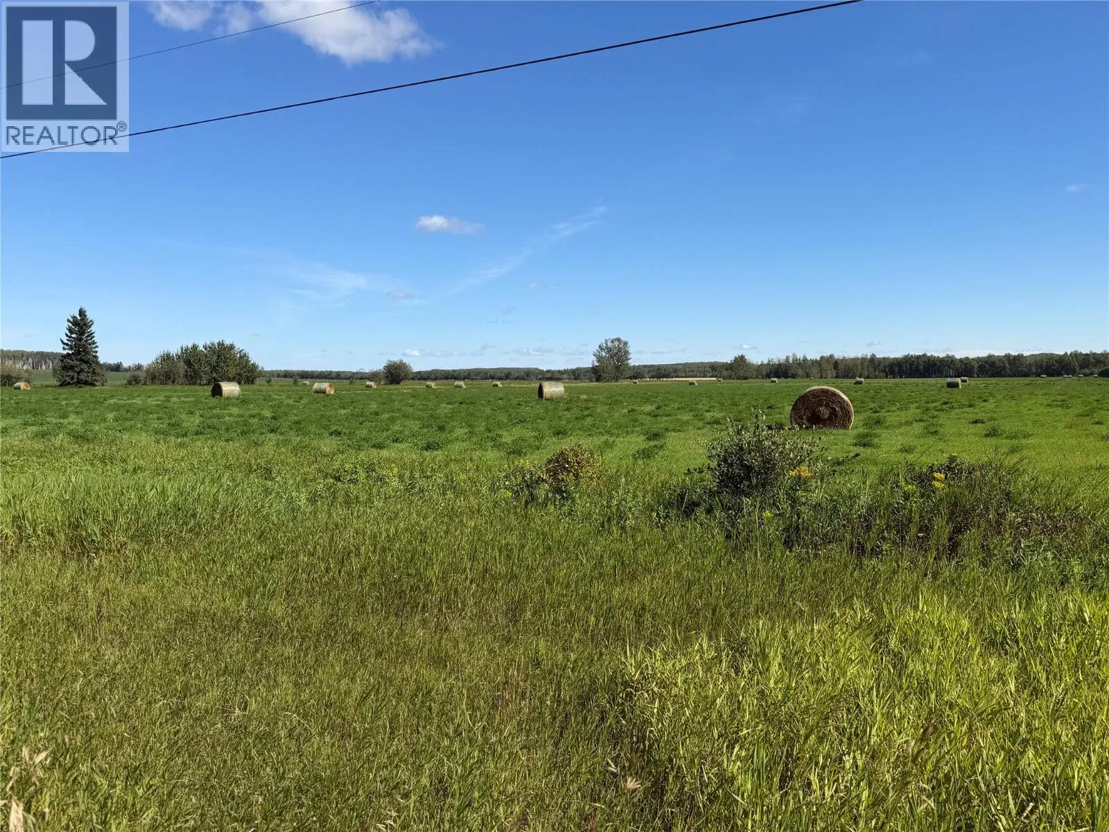 Farm at 265 Road — photo 5 of 11