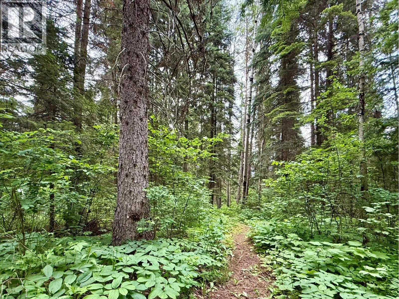 Acreage at 7280 OTWAY ROAD — photo 5 of 39