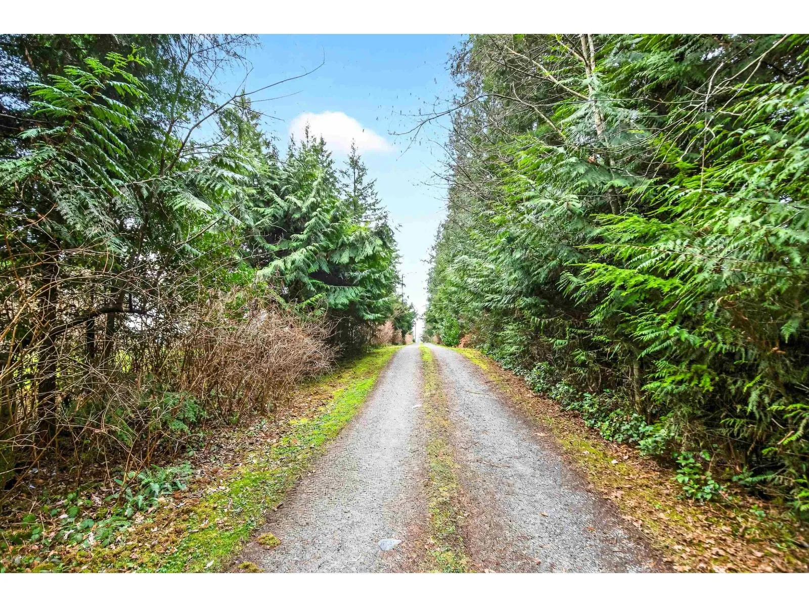 Acreage at 29907 DEWDNEY TRUNK ROAD — photo 5 of 38