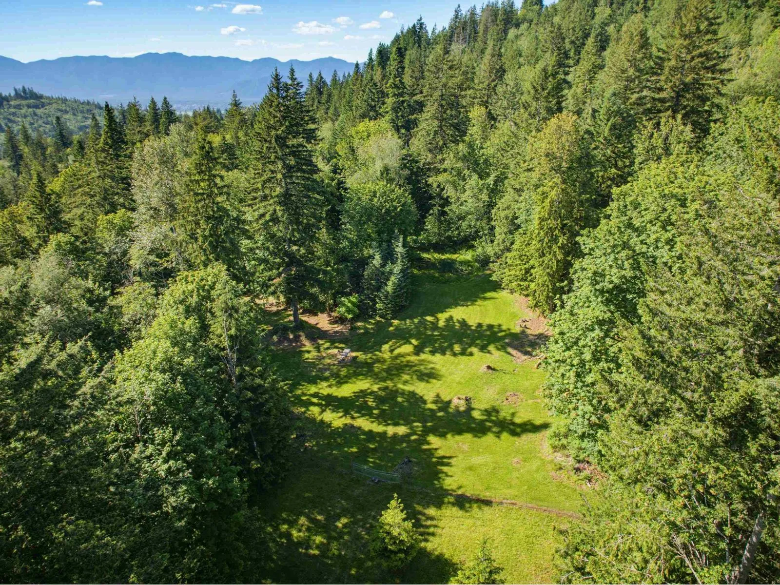 Acreage at 5520 GRAHAM DRIVE, Ryder Lake — photo 4 of 40