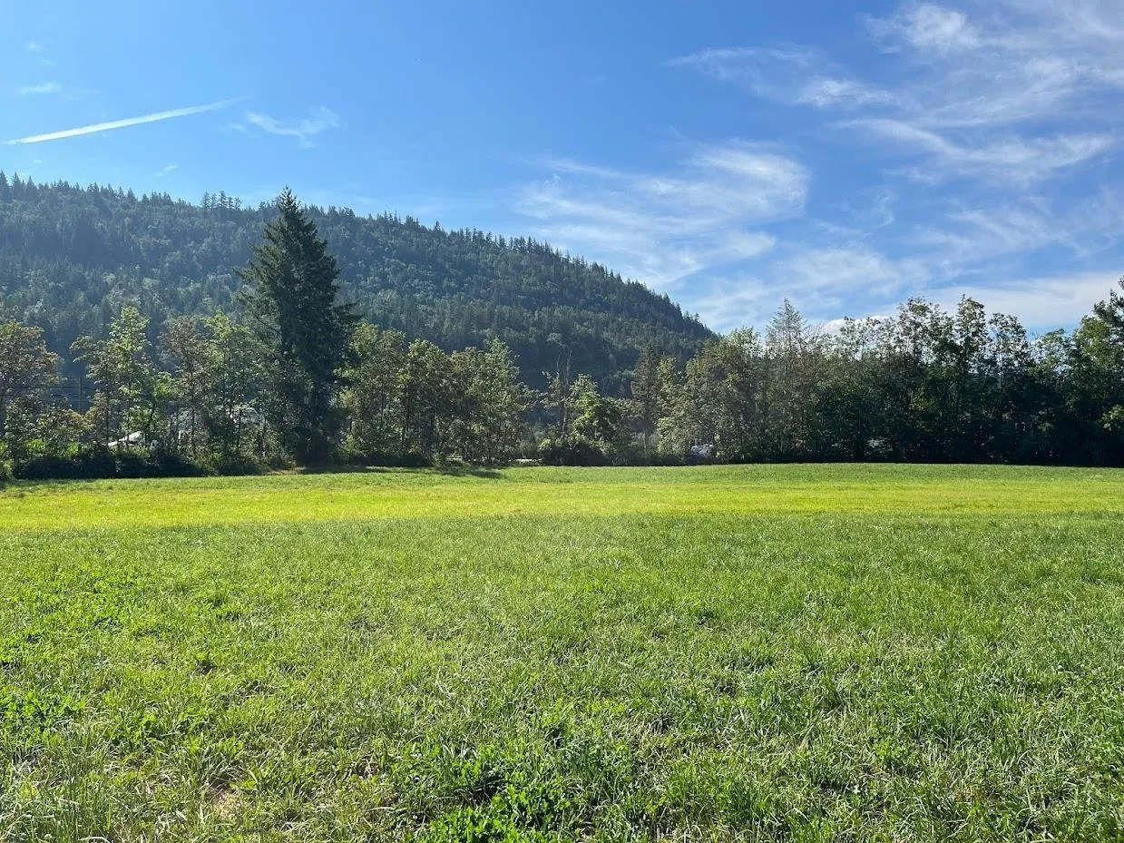 Vacant Land at 3705 HOT SPRINGS ROAD, Agassiz — photo 4 of 14