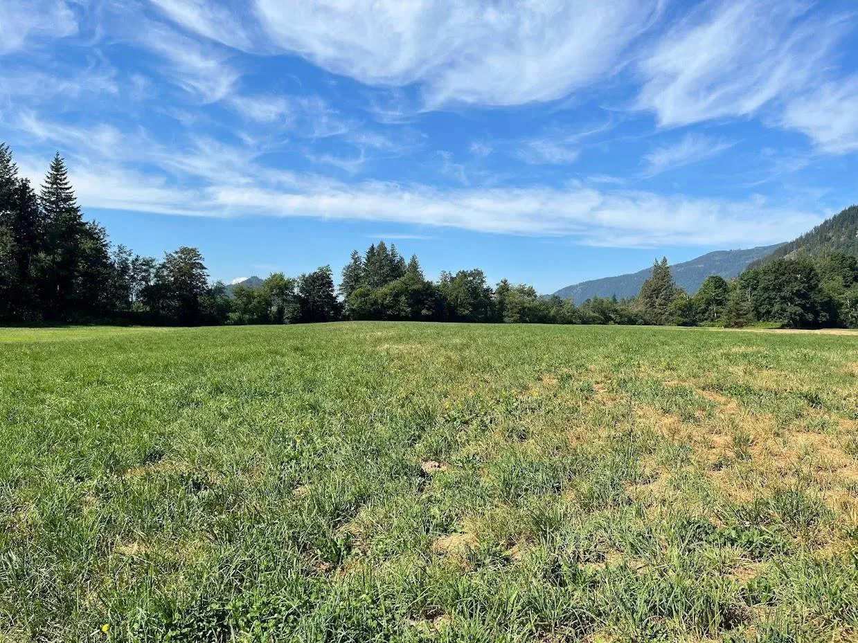 Vacant Land at 3705 HOT SPRINGS ROAD, Agassiz — photo 5 of 14