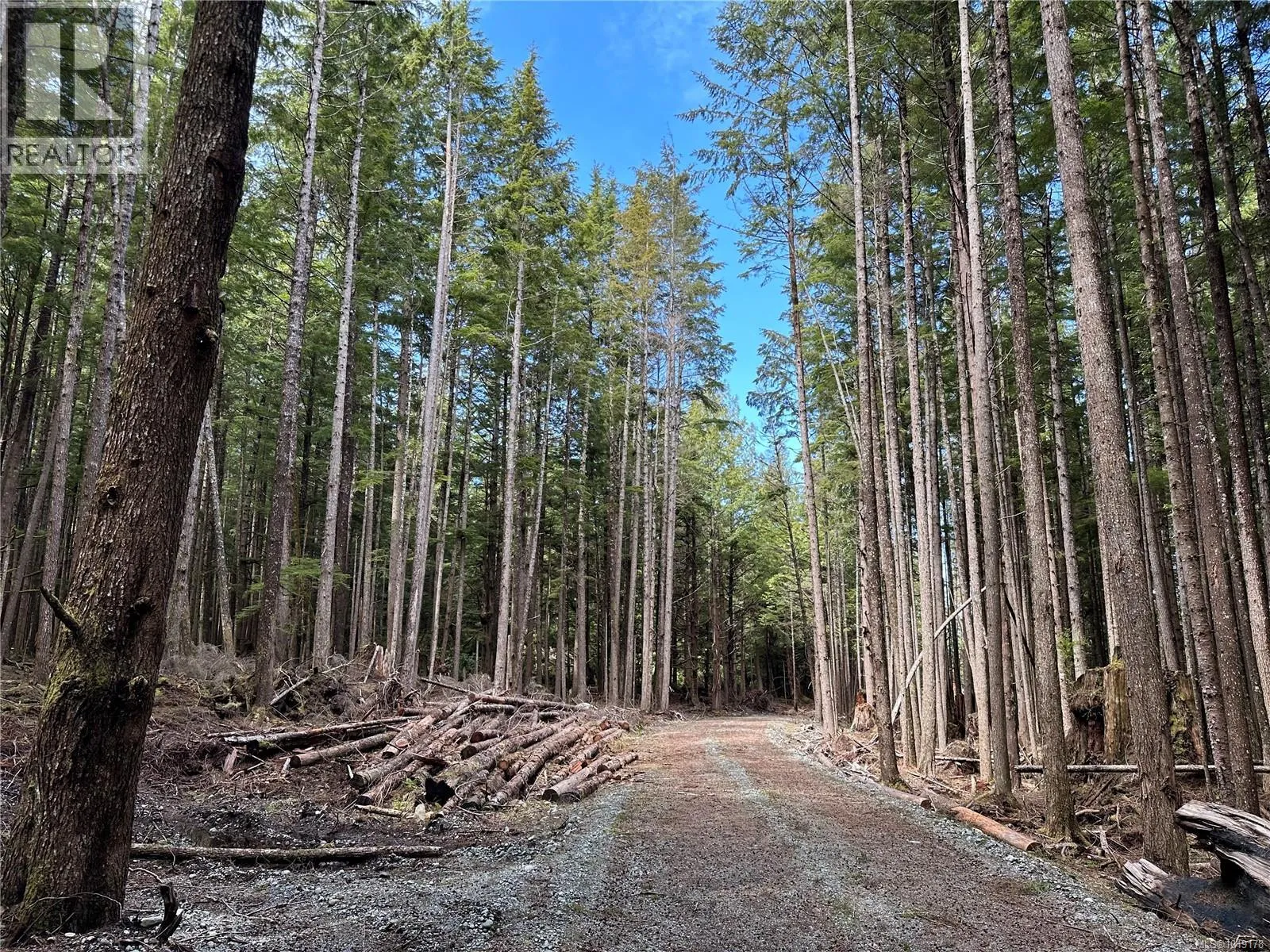 Vacant Land at LT 15 Mitchell Bay Rd — photo 3 of 59