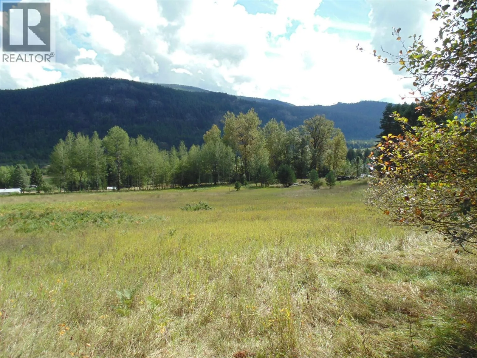 Acreage at 6306 Slocan River Road — photo 4 of 24