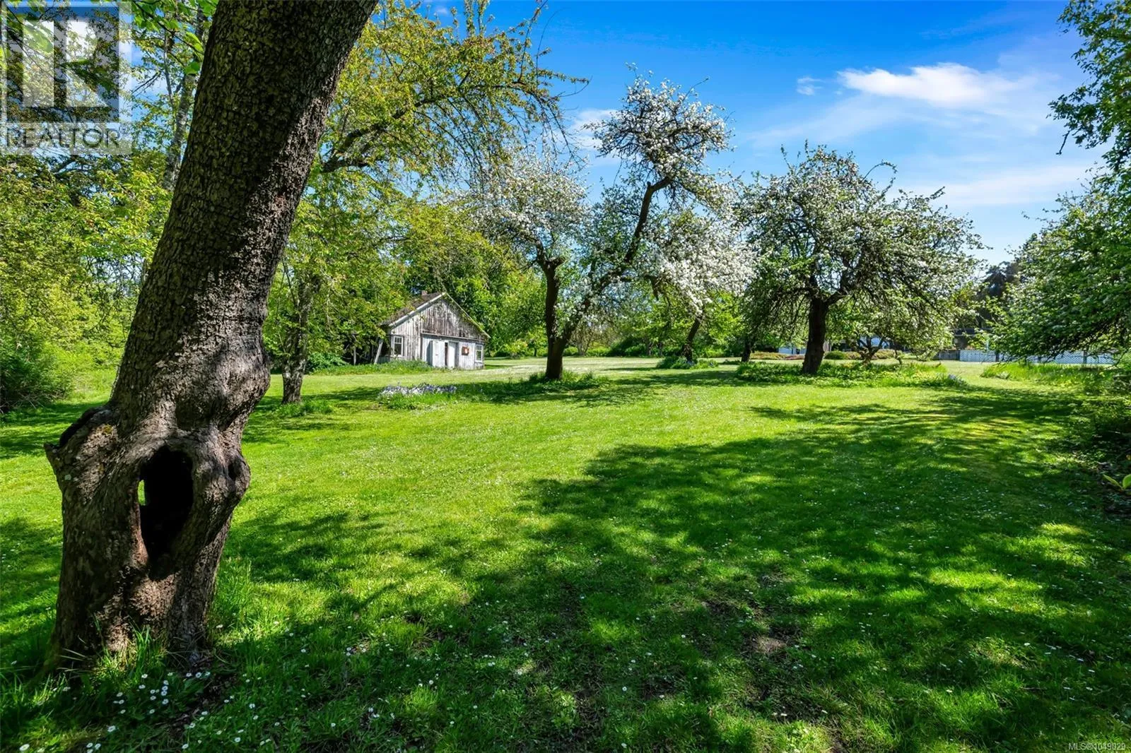 Acreage at 6364 Deykin Ave — photo 2 of 31