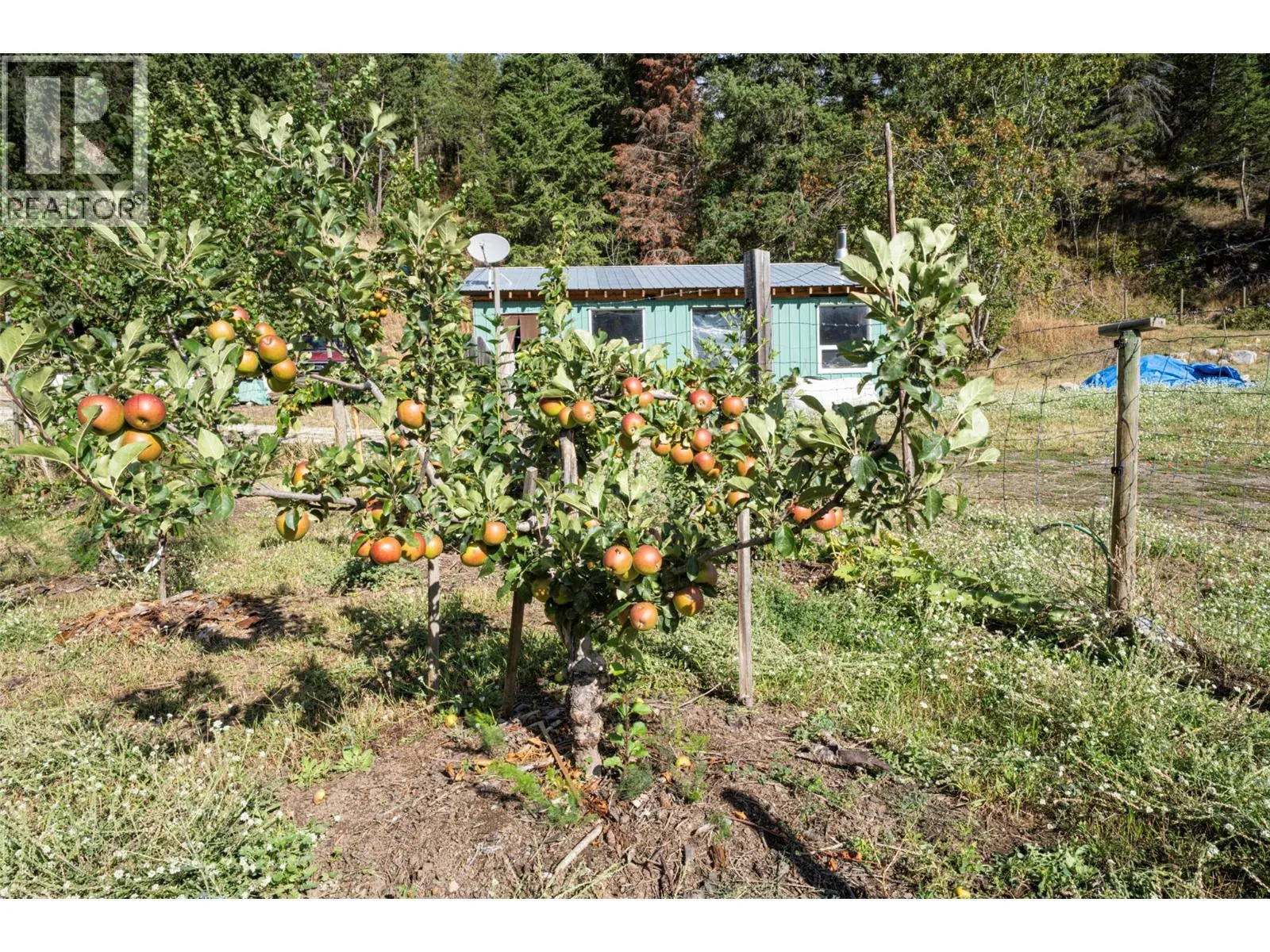 Vacant Land at 1021 Creighton Valley Road — photo 4 of 50